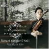 RICHARD YONGJAE O'NEILL - Mysterioso : ̽׸ 